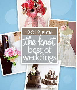 Screen Shot 2012 01 31 at 6.19.26 PM 2012 Awards   Best of the Knot Pick   WeddingWire Brides Choice Award